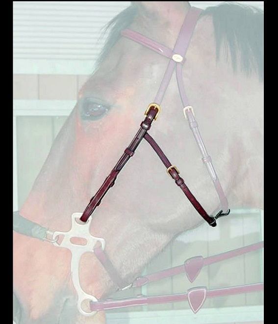 MONTANTE CORTO PER HACKMORE DY'ON Accessori Briglie 